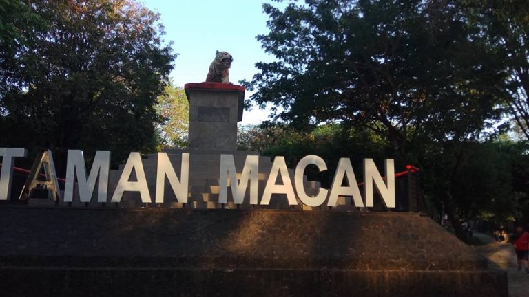 Macan tak mengaum lagi