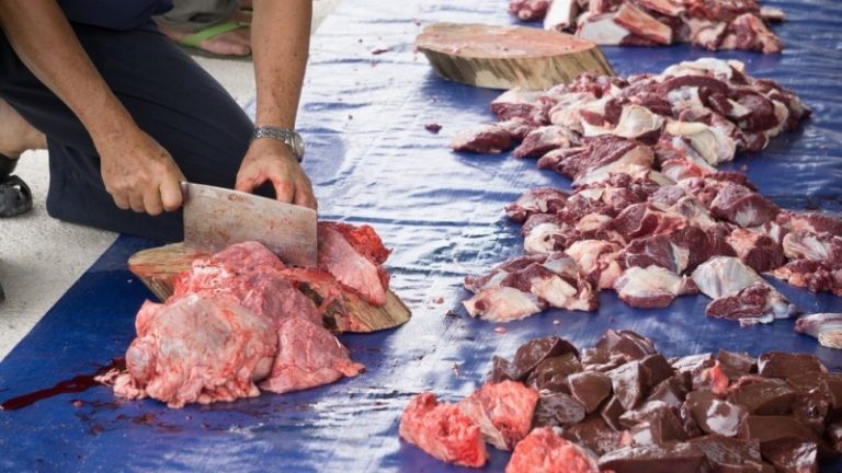dAGING QURBAN