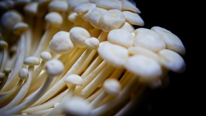 JAMUR ENOKI