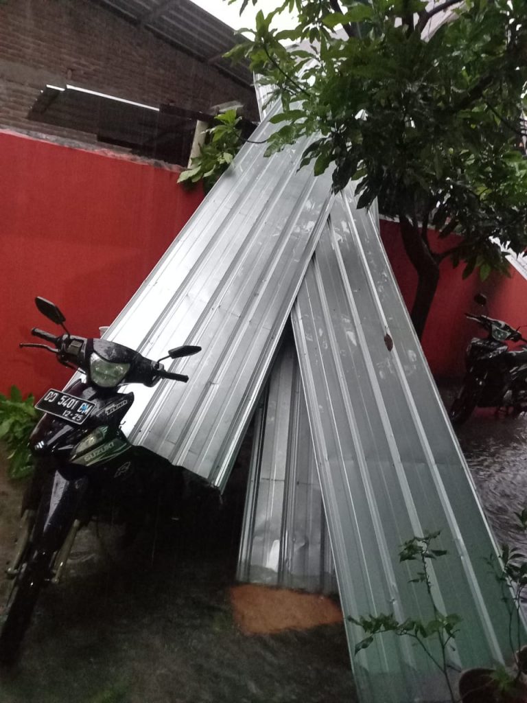 Terbang seng