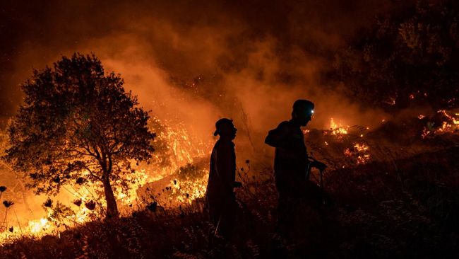turkey-fire_169