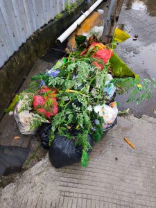 sampah 1