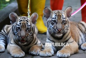 BANDUNG ZOO
