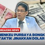 PURBAYA DOLLAR