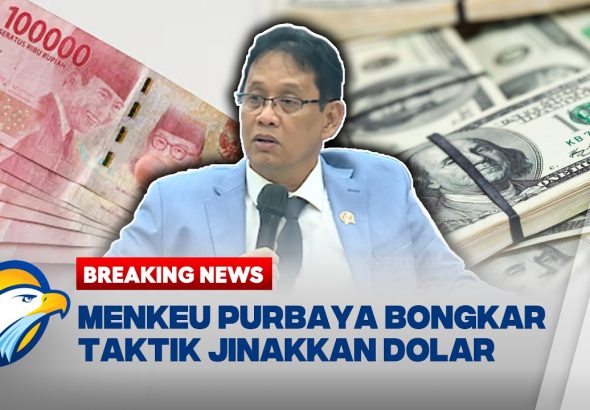 PURBAYA DOLLAR