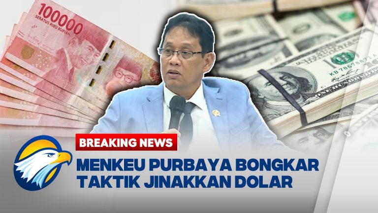 PURBAYA DOLLAR