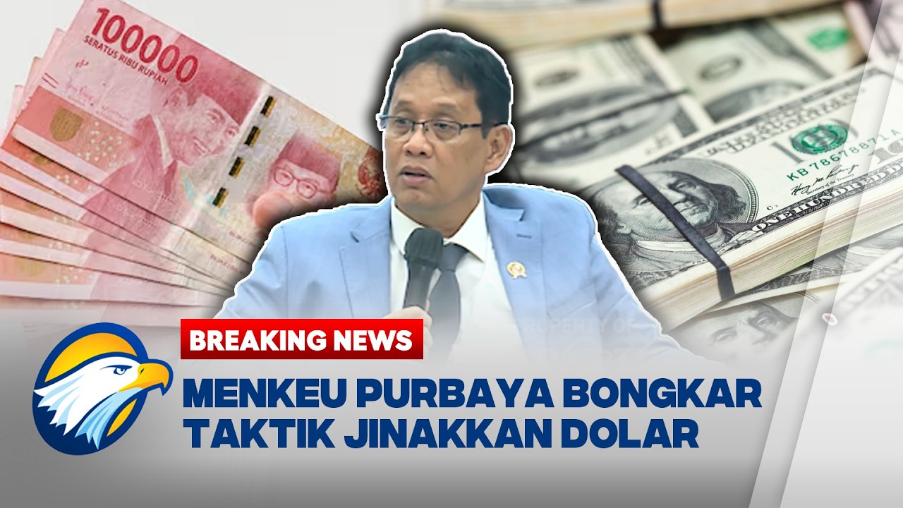 PURBAYA DOLLAR
