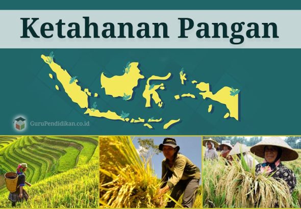 KETAHANAN-PANGAN