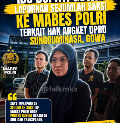bupati gowa ok