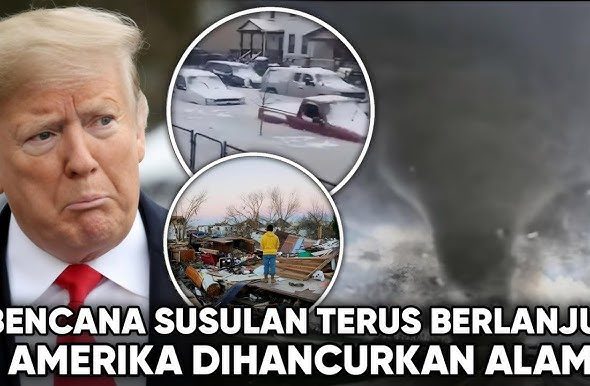 TRUMP LINGU