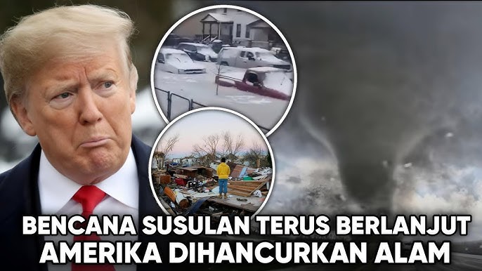 TRUMP LINGU