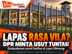 1111111lapas