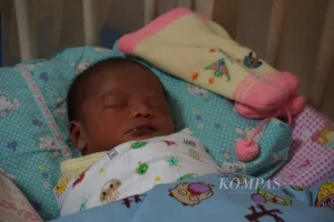 bayi